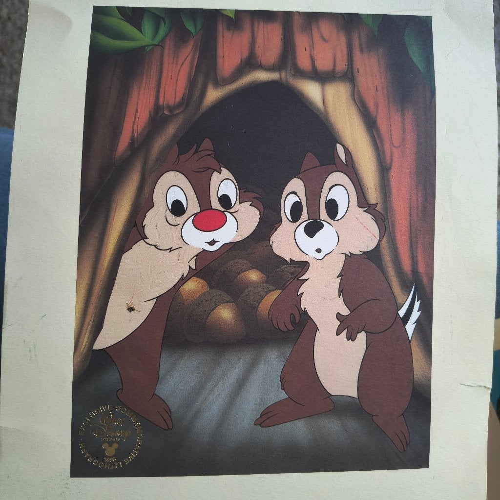 Disney Litho's 3 verschillende, Ophalen of Verzenden, Overige figuren, Gebruikt, Overige typen