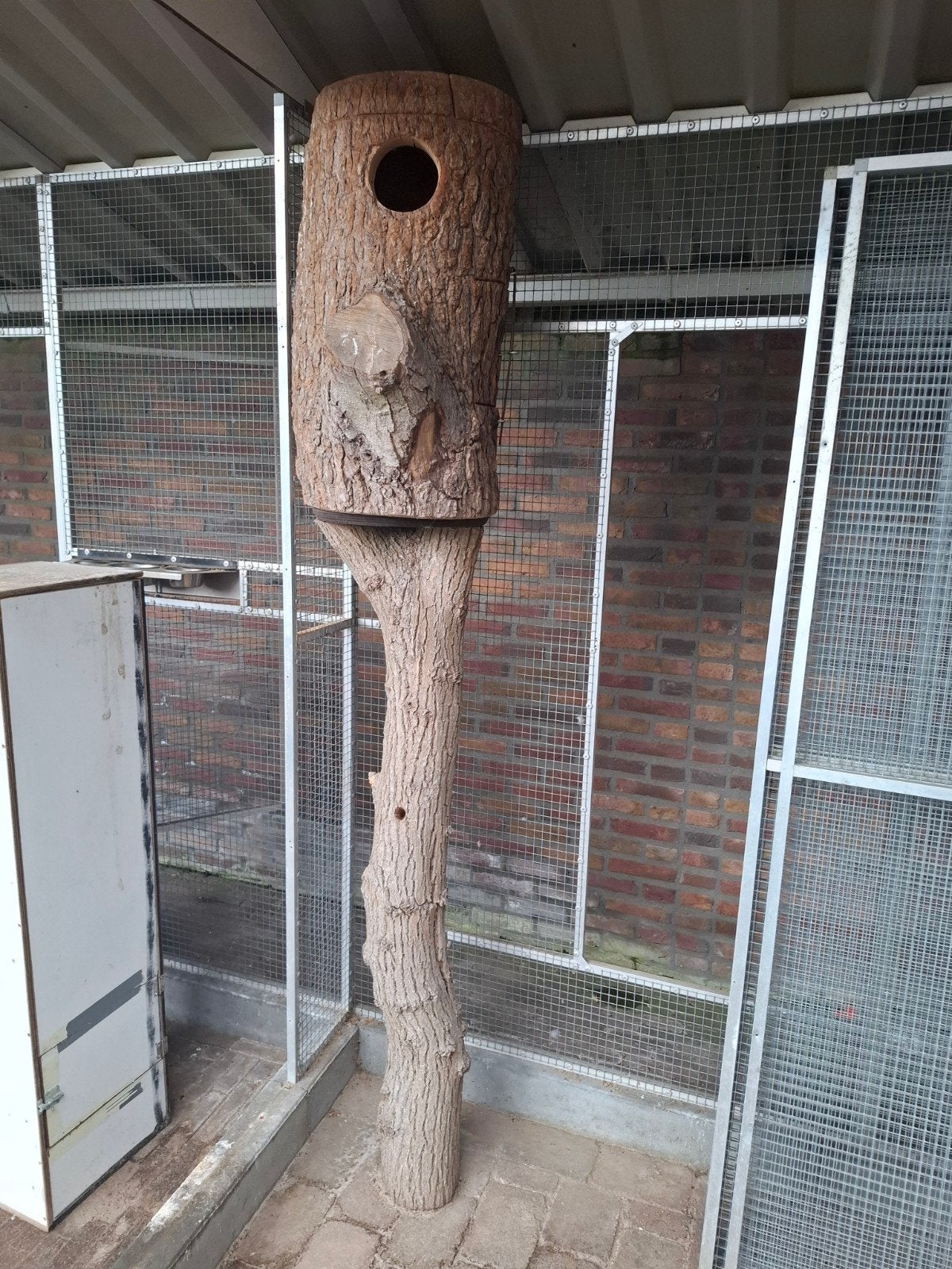 Broedblok koningsparkiet. 3x rechthoekig, 2x boomstam, Dieren en Toebehoren, Ophalen, Gebruikt, Hout, Broedkooi of Kweekkooi