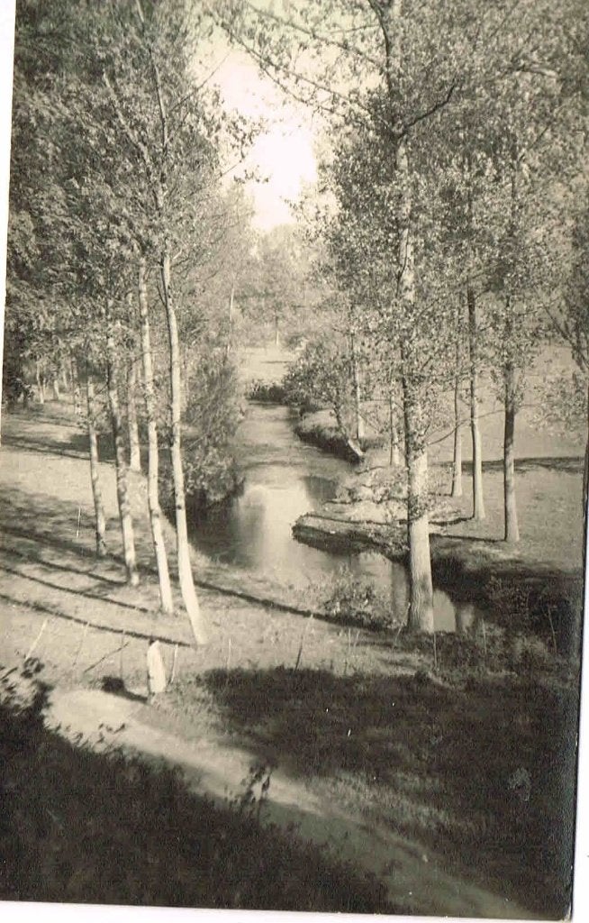 Park, Verzenden, 1960 tot 1980, Ongelopen, Natuur