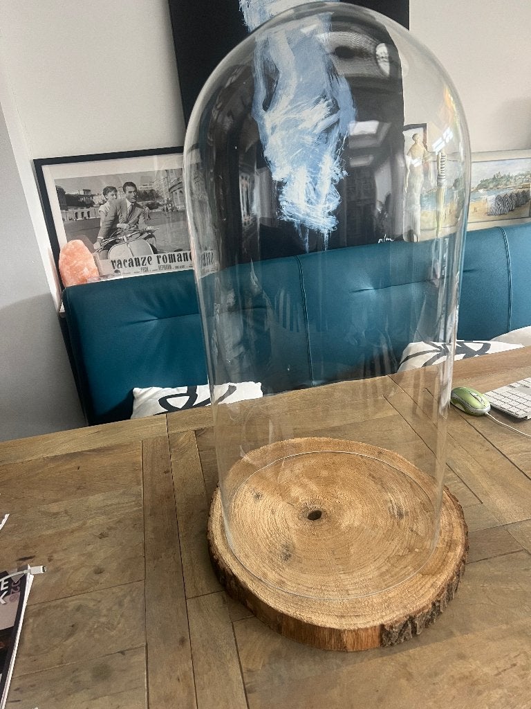 Mooie grote hoge glazen stolp 65 cm hoog, Glas, Ophalen, Zo goed als nieuw