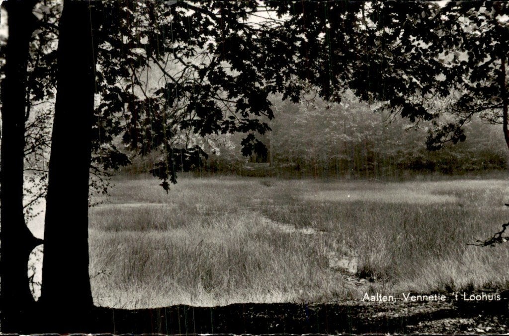 Aalten - Vennetje - t Loohuis, Ophalen of Verzenden, 1940 tot 1960, Gelopen, Gelderland