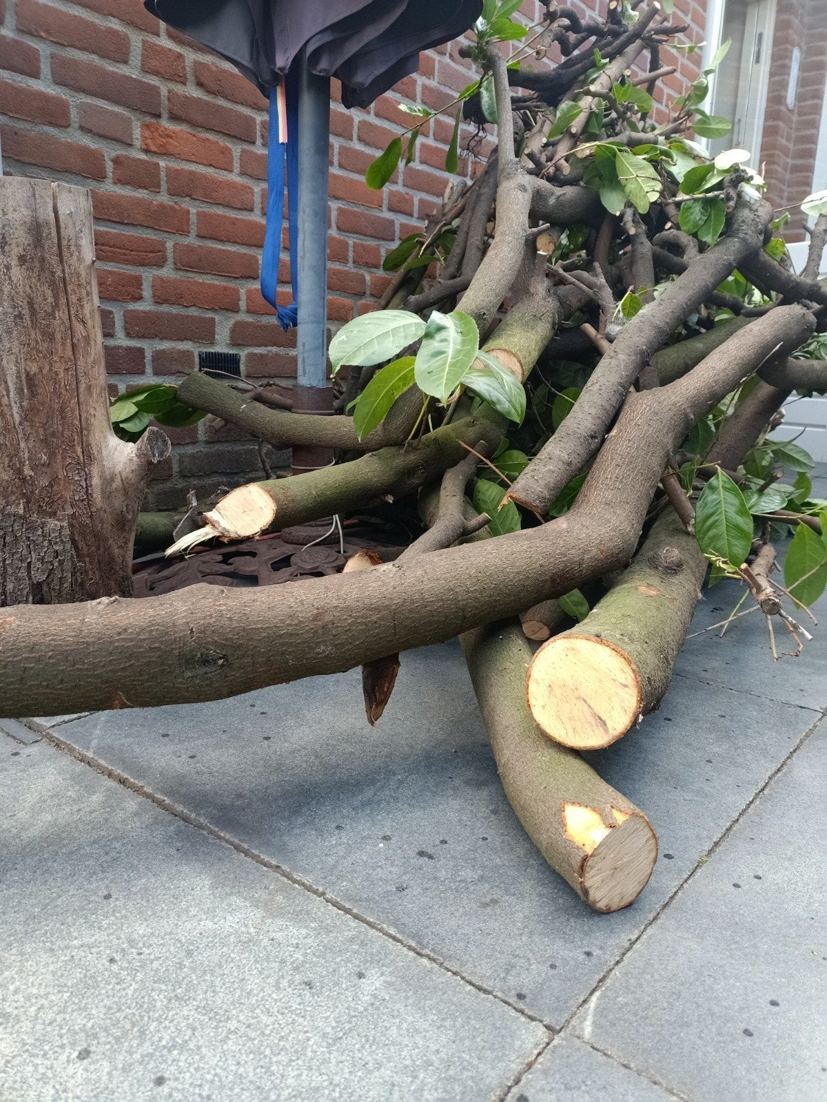 gratis stapeltje stookhout hout, Tuin en Terras, Minder dan 3 m³, Ophalen