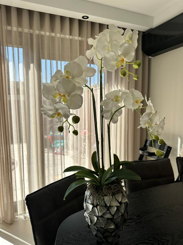 Schelpen vaas met orchidee, Huis en Inrichting, Ophalen, Zo goed als nieuw