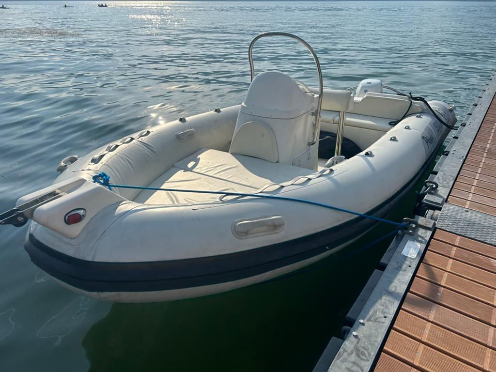 Silver Marine Phoenix 530 RIB met trailer. Suzuki 60pk, Ophalen, Overige merken, Gebruikt, Buitenboordmotor