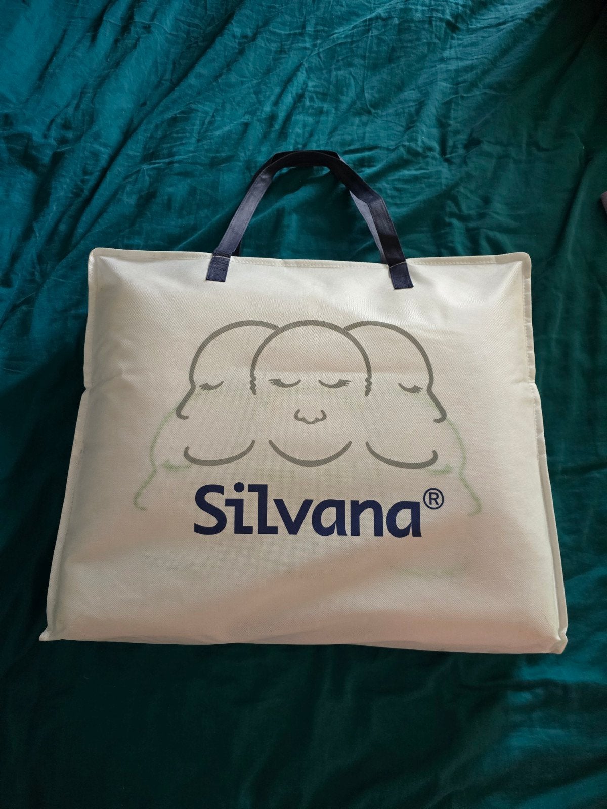 Silvana hoofdkussen,  groen/stevig/firm, Ophalen, Eenpersoons, Wit, Zo goed als nieuw