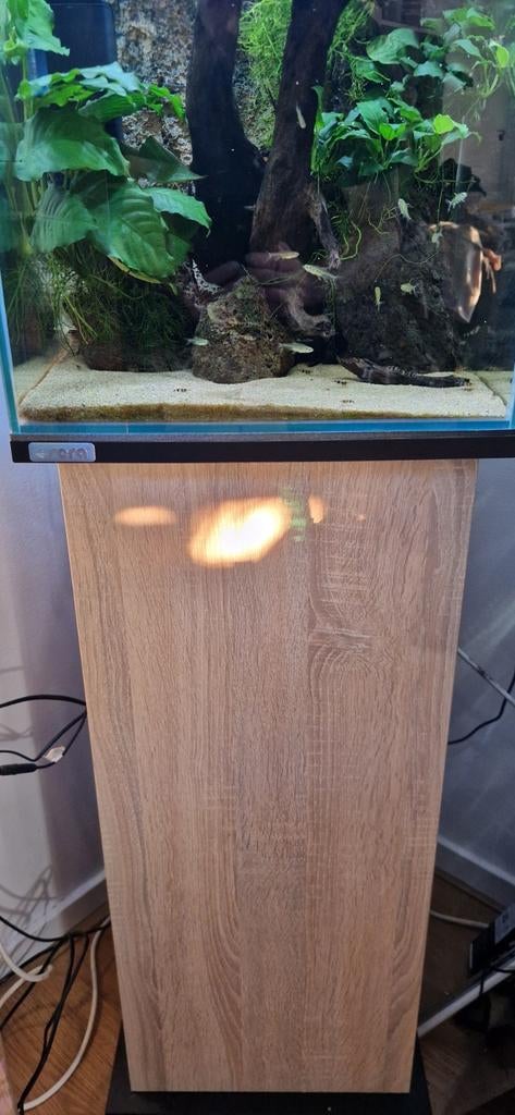 Sera scaper cube 80 liter met meubel, Ophalen, Zo goed als nieuw, Gevuld zoetwateraquarium