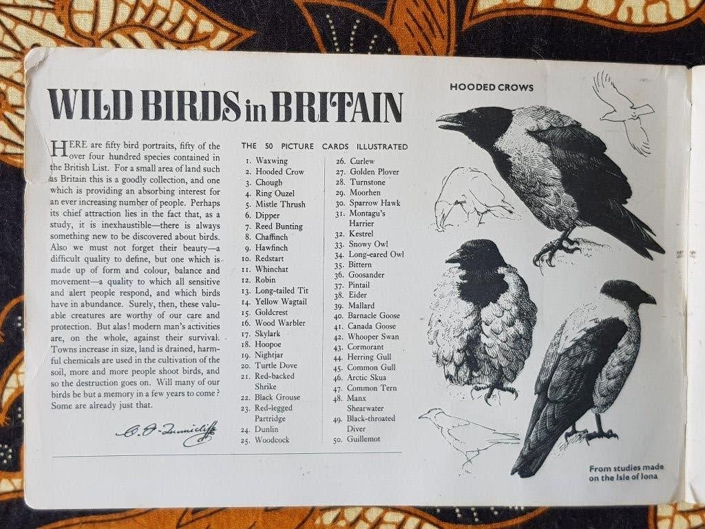 Wilde vogels oud Engels album met Brooke Bond theeplaatjes., Ophalen of Verzenden