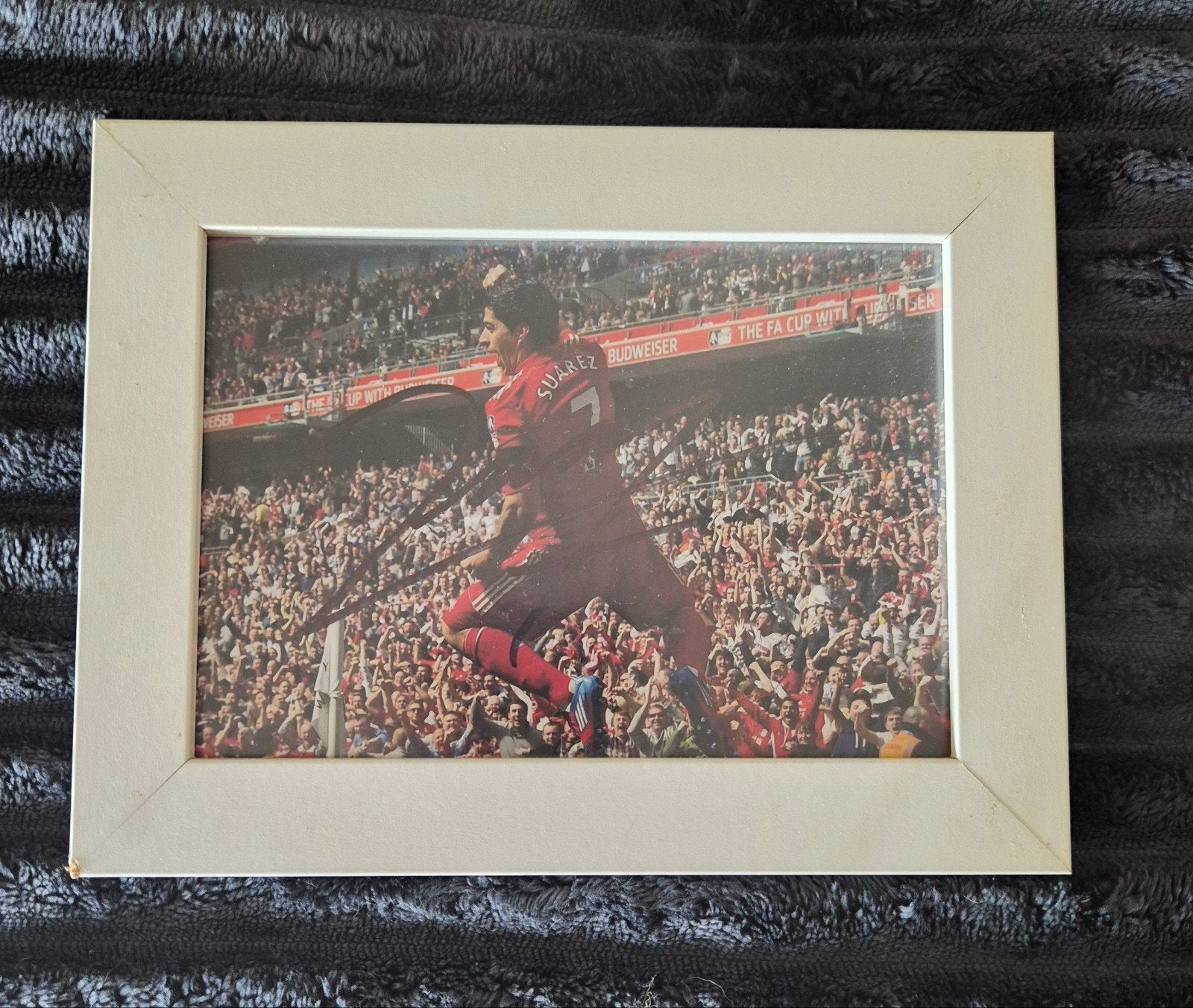 Luis Suarez (gesigneerd Liverpool met certificaat), Ophalen of Verzenden, Voor 1940, Zo goed als nieuw