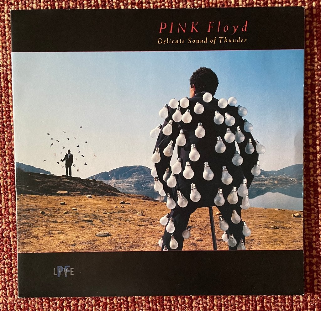 Pink Floyd – Delicate Sound Of Thunder (2 LP), Progressive Rock, Ophalen of Verzenden, Zo goed als nieuw, 12 inch