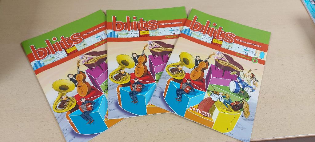 Blits studievaardigheden, Boeken, Nieuw, Ophalen of Verzenden, Delubas, Nederlands