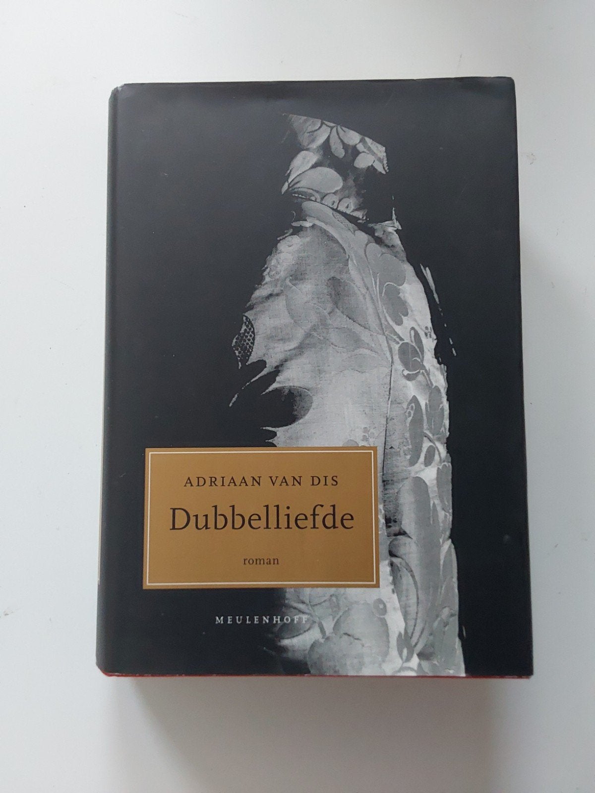 Adriaan van Dis : Dubbelliefde, Adriaan van Dis, Ophalen of Verzenden, Zo goed als nieuw, Nederland