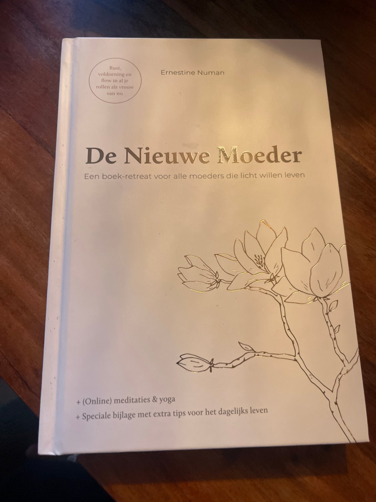 De Nieuwe Moeder - Ernestine Numan (Boek), Ophalen of Verzenden, Zo goed als nieuw, Zwangerschap en Bevalling