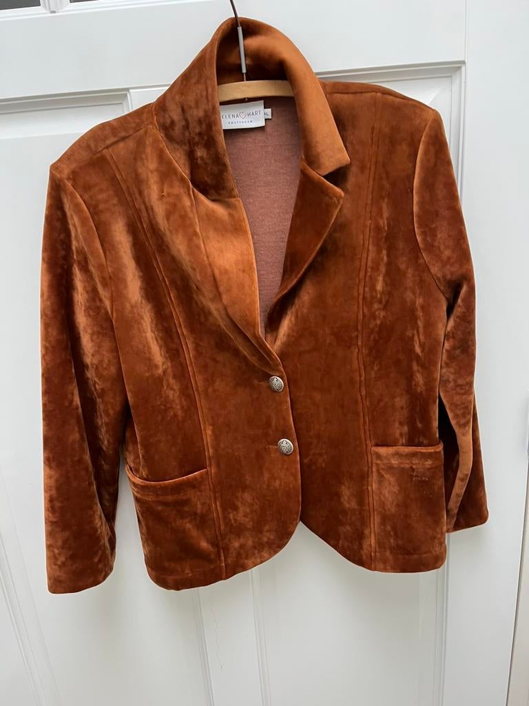 Helena Hart velours jasje maat xl, Kleding | Dames, Bruin, Maat 46/48 (XL) of groter, Ophalen of Verzenden, Zo goed als nieuw