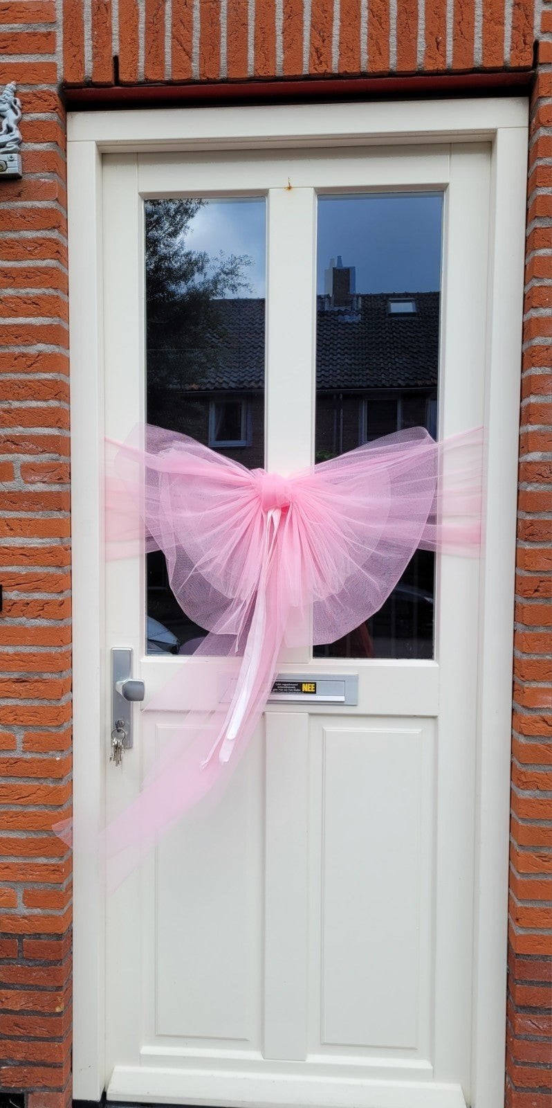 Geboorte versiering: Raamstickers en Roze Strik, Hobby en Vrije tijd, Ophalen of Verzenden, Gebruikt, Versiering, Geboorte of Huwelijk