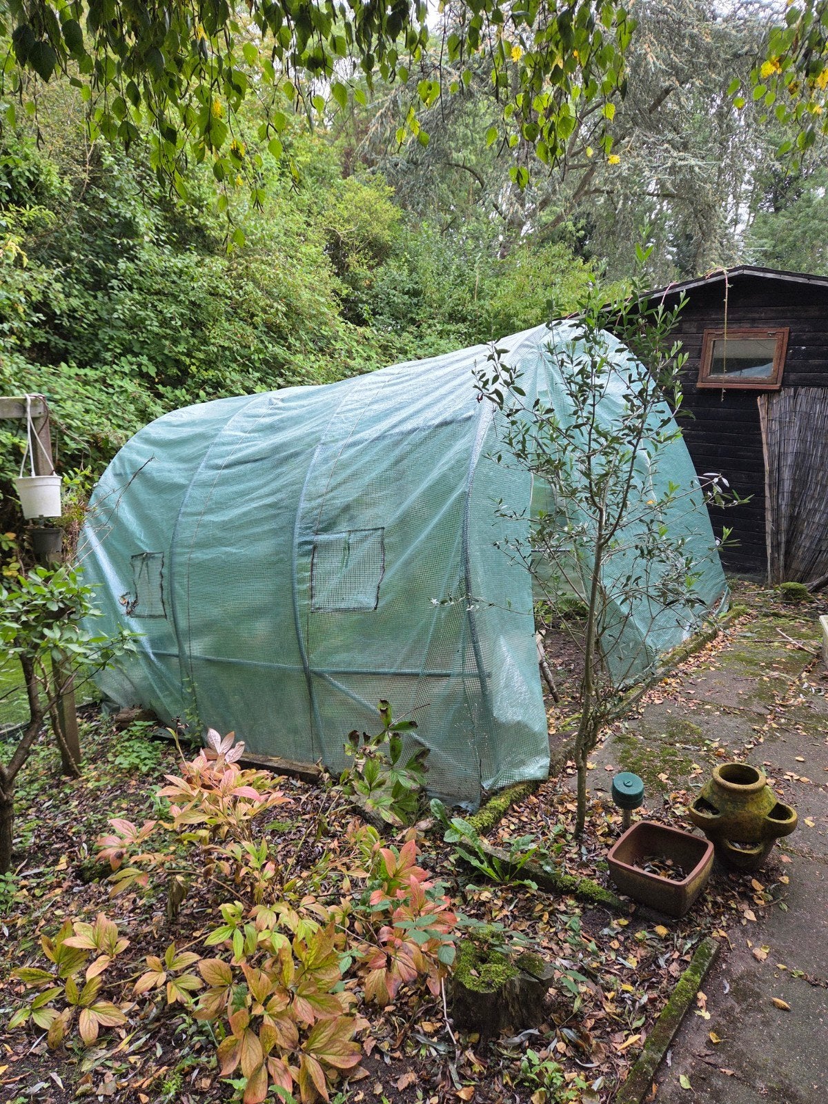 Overdekte kas - 4,5m x 3,5m, Ophalen of Verzenden, Folie, Gebruikt, Kweekkas