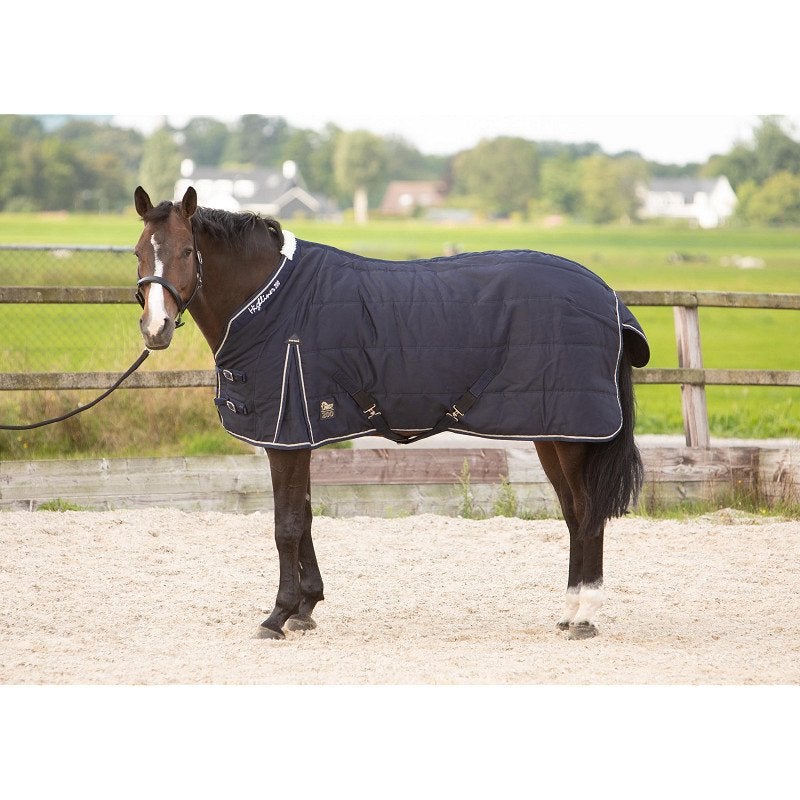 Harry’s horse staldeken highliner 200 gram 175 tm 215 Nieuw, Dieren en Toebehoren, I, Nieuw, Ophalen of Verzenden, H