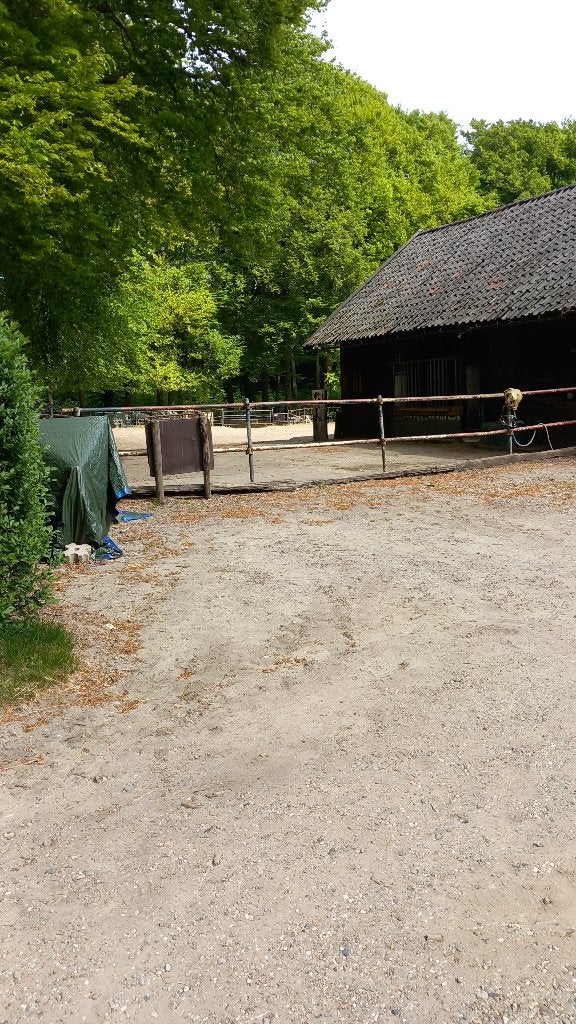 Pensionstalling te huur, Dieren en Toebehoren, Weidegang
