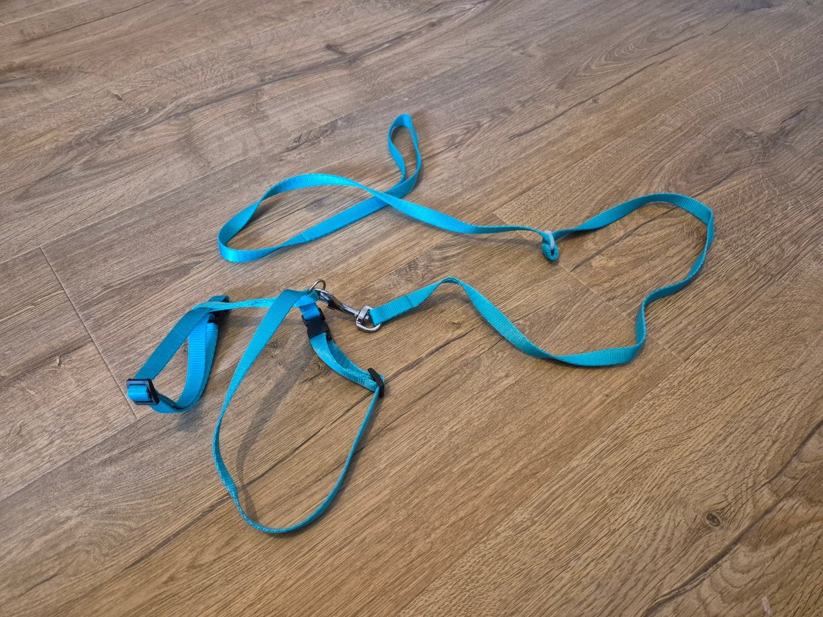 Katten tuigje, Dieren en Toebehoren, Ophalen, Zo goed als nieuw