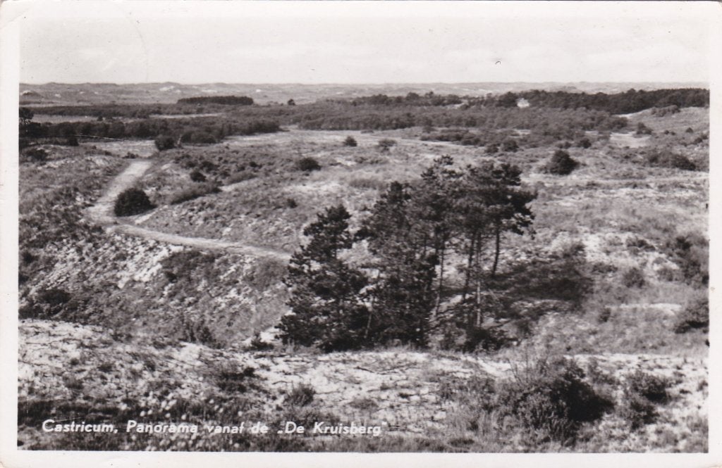 19261 Castricum Panorama vanaf de Kruisberg gelopen 1960, Verzenden, 1940 tot 1960, Gelopen, Noord-Brabant