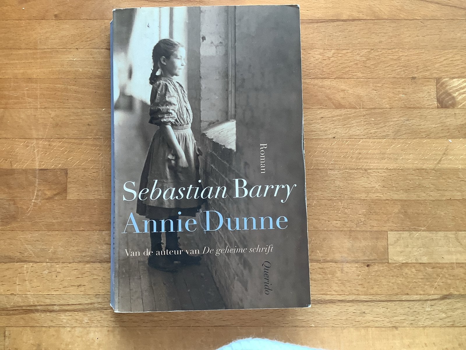 Annie Dunne - Sebastian Barry (Roman), Boeken, Romans, Ophalen of Verzenden, Gelezen, Nederland