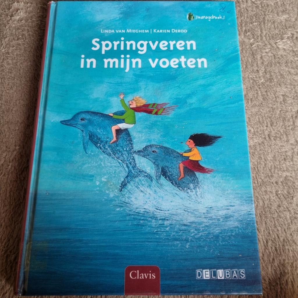 Springveren in mijn voeten - Linda van Mieghem, Ophalen of Verzenden, Gelezen, Linda van Mieghem, Karien Derood, Fictie algemeen