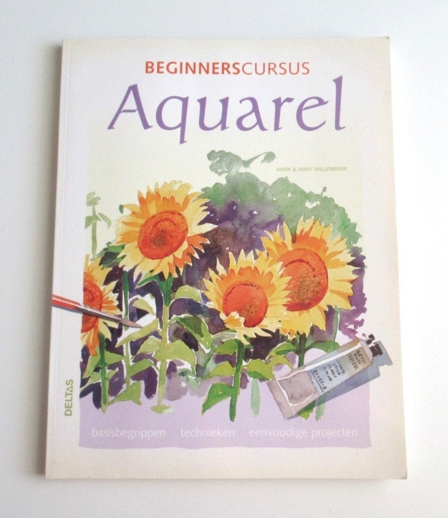 Schilderen M4625: M. Willenbrink - Beginnerscursus Aquarel, Ophalen of Verzenden, Zo goed als nieuw, Tekenen en Schilderen, Geschikt voor kinderen