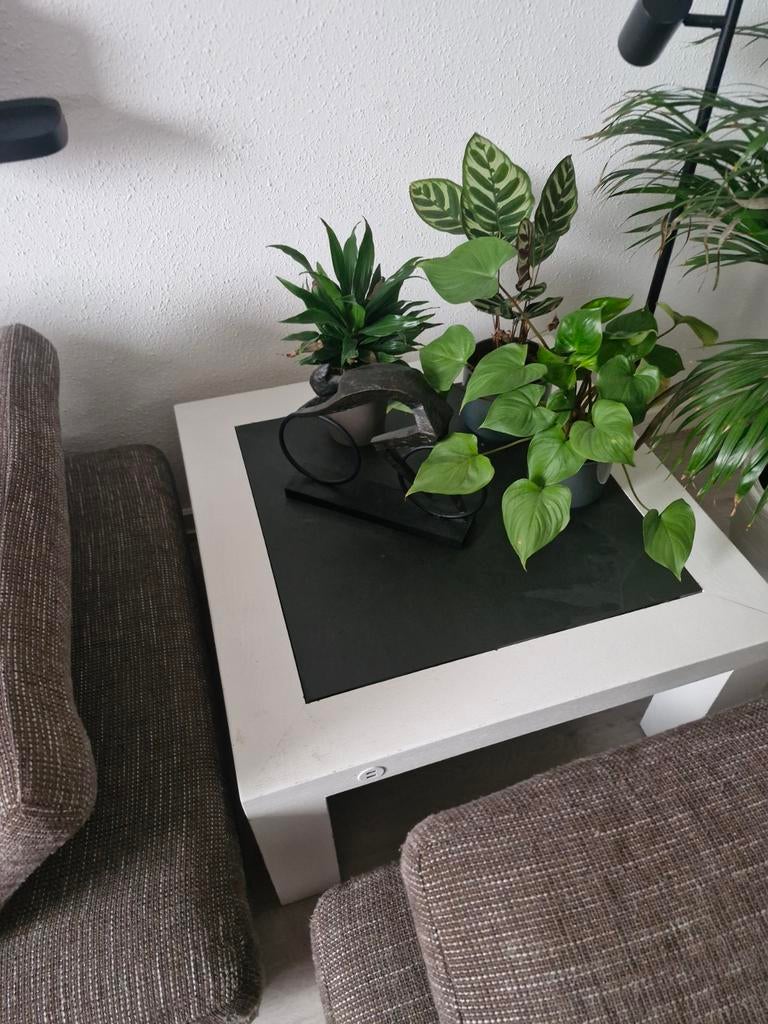 Witte salontafel met donkergrijs blad, Ophalen, Gebruikt, 50 tot 100 cm, Vierkant