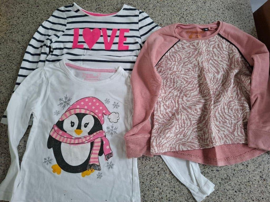 SHIRTS 2 STUKS EN 1 TRUITJE, MAAT 116, YOUNG DIMENSION, Ophalen of Verzenden, Gebruikt, Jongen, Shirt of Longsleeve