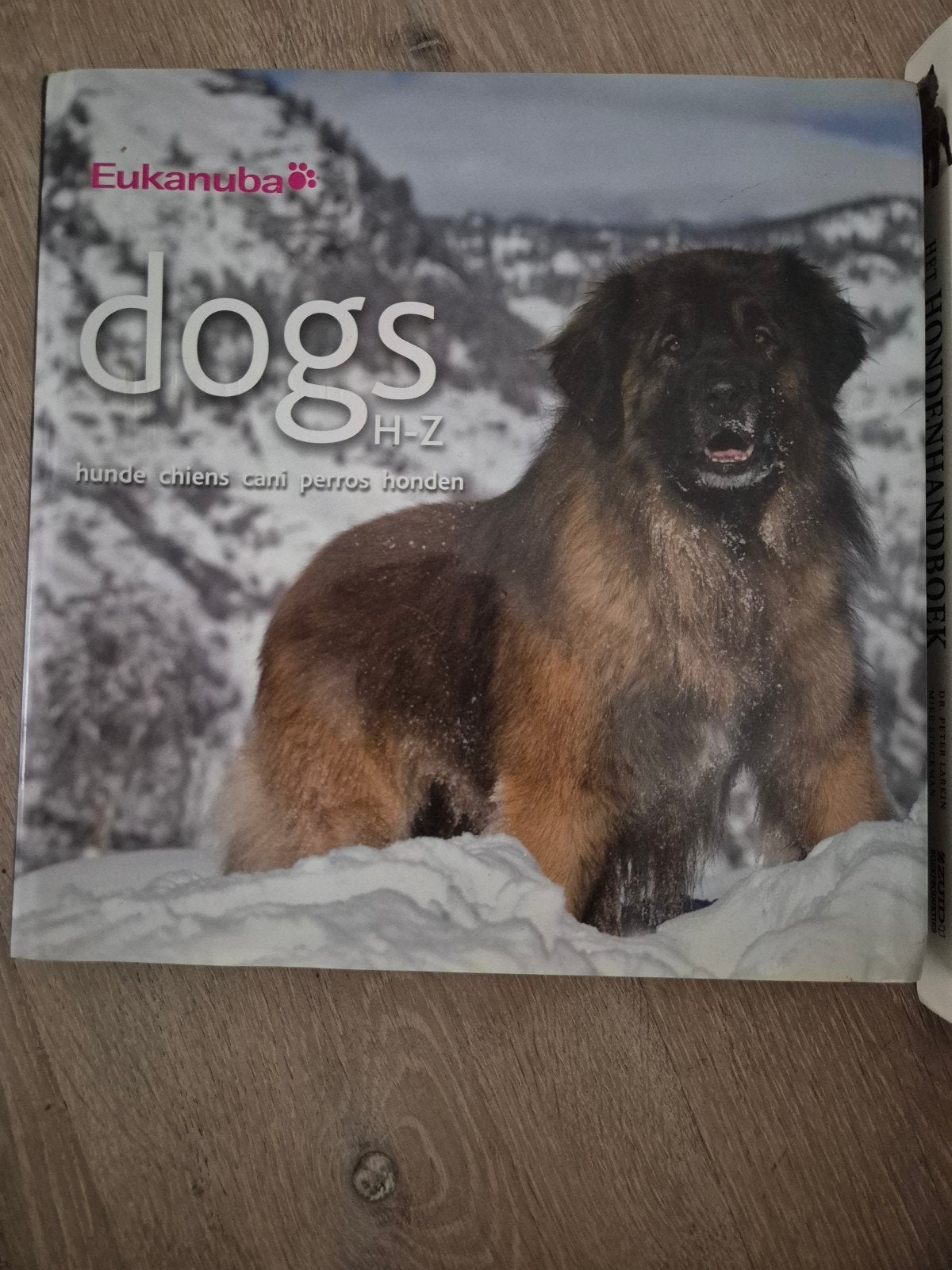 Hondenboeken: diversen rassen, Ophalen of Verzenden, Nieuw, Honden