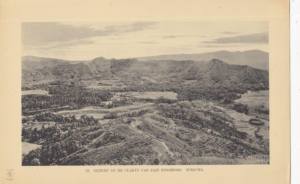 Originele fotogravure 1910 - Sumatra, Nederlands-Indië, Antiek en Kunst, Ophalen of Verzenden, Foto, Fotografie, Origineel