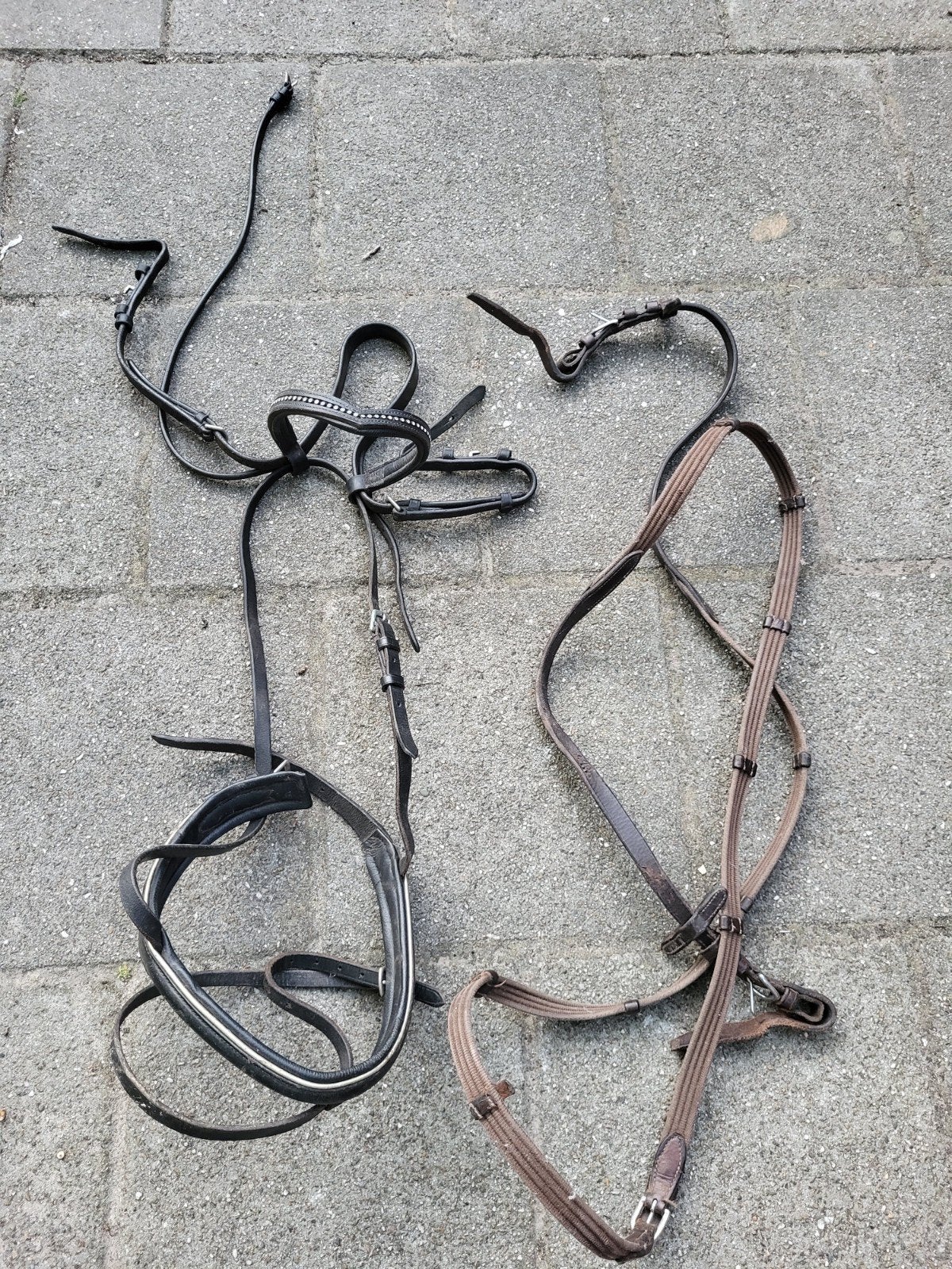 Halster en QHP laarsjes, Dieren en Toebehoren, Paarden en Pony's | Hoofdstellen en Tuigage, Ophalen, QHP, Halster