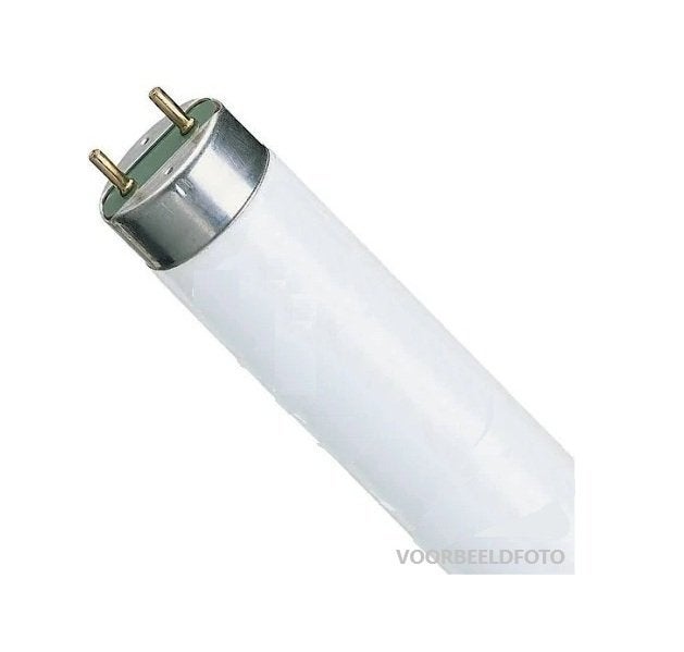 Nieuwe  TL buizen 30 watt kleur 830 PHILIPS MASTER TLD, Niet ingevuld, Nieuw, Niet ingevuld, Niet ingevuld