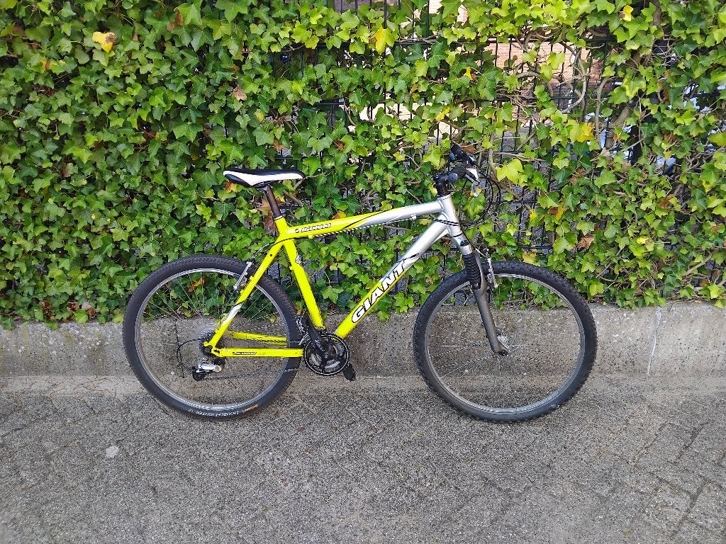Giant Iguana mountainbike., 49 tot 53 cm, Ophalen, Gebruikt, Overige merken