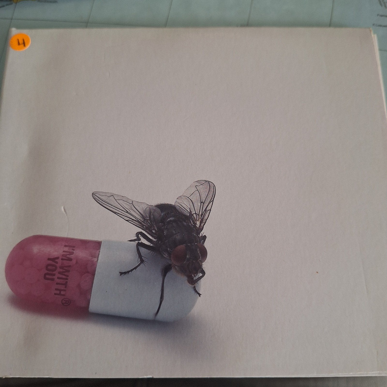 Red Hot Chili Peppers - I'm With You CD, Rock, Gebruikt, Inclusief doosje, Ophalen of Verzenden