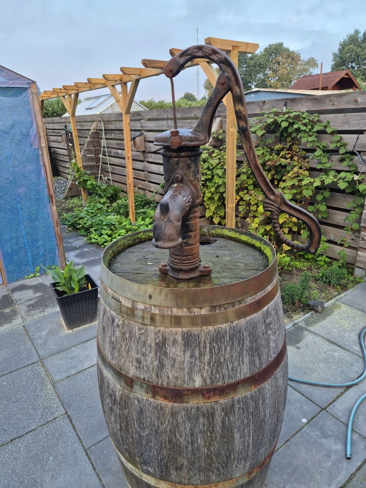 regenton, 150 liter of meer, Ophalen, Gebruikt