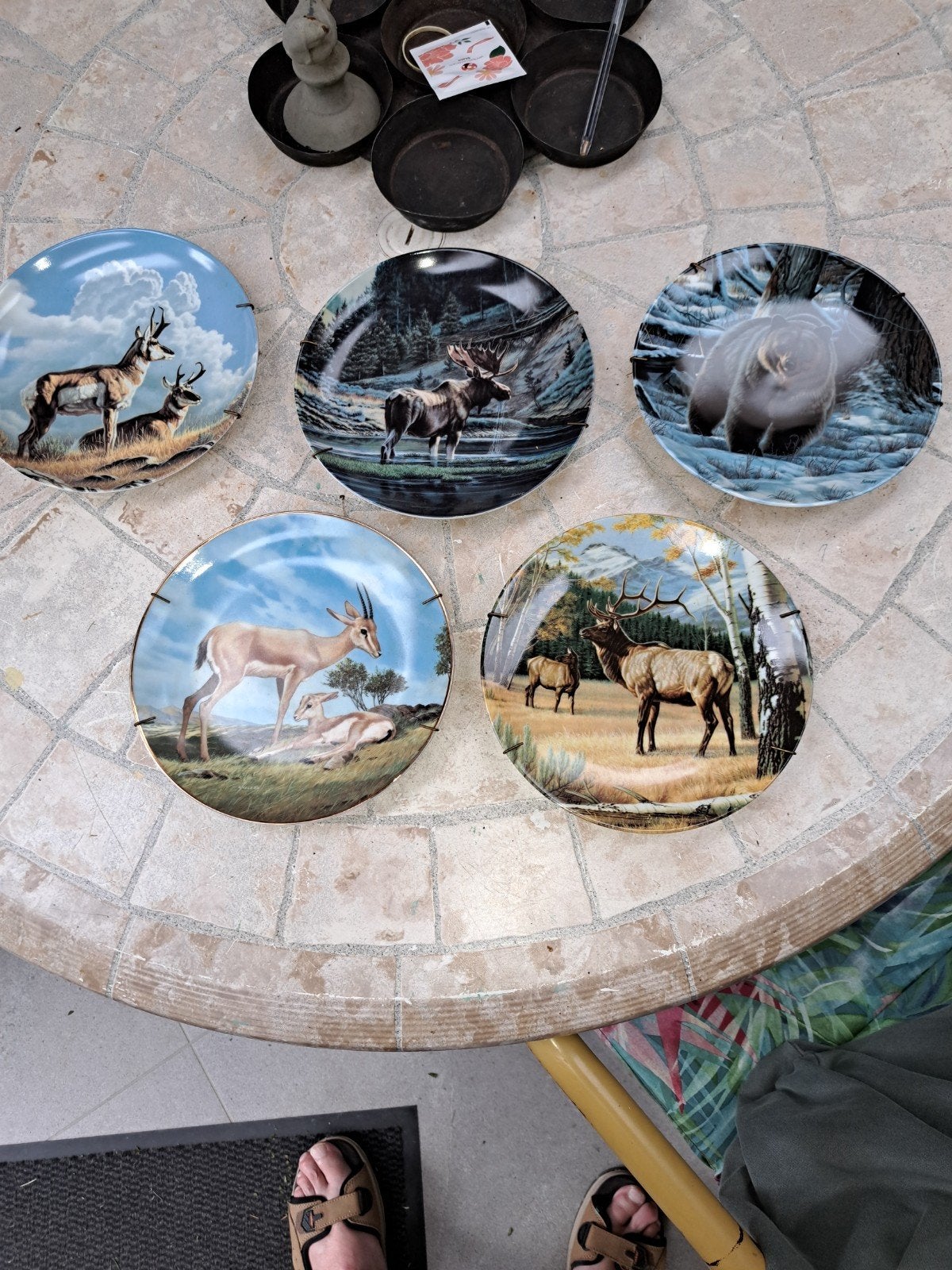 Vijf borden wild and free canada, Ophalen of Verzenden