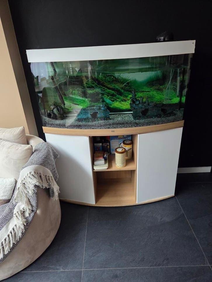 Aquarium te koop naaldwijk, Ophalen of Verzenden, Gebruikt