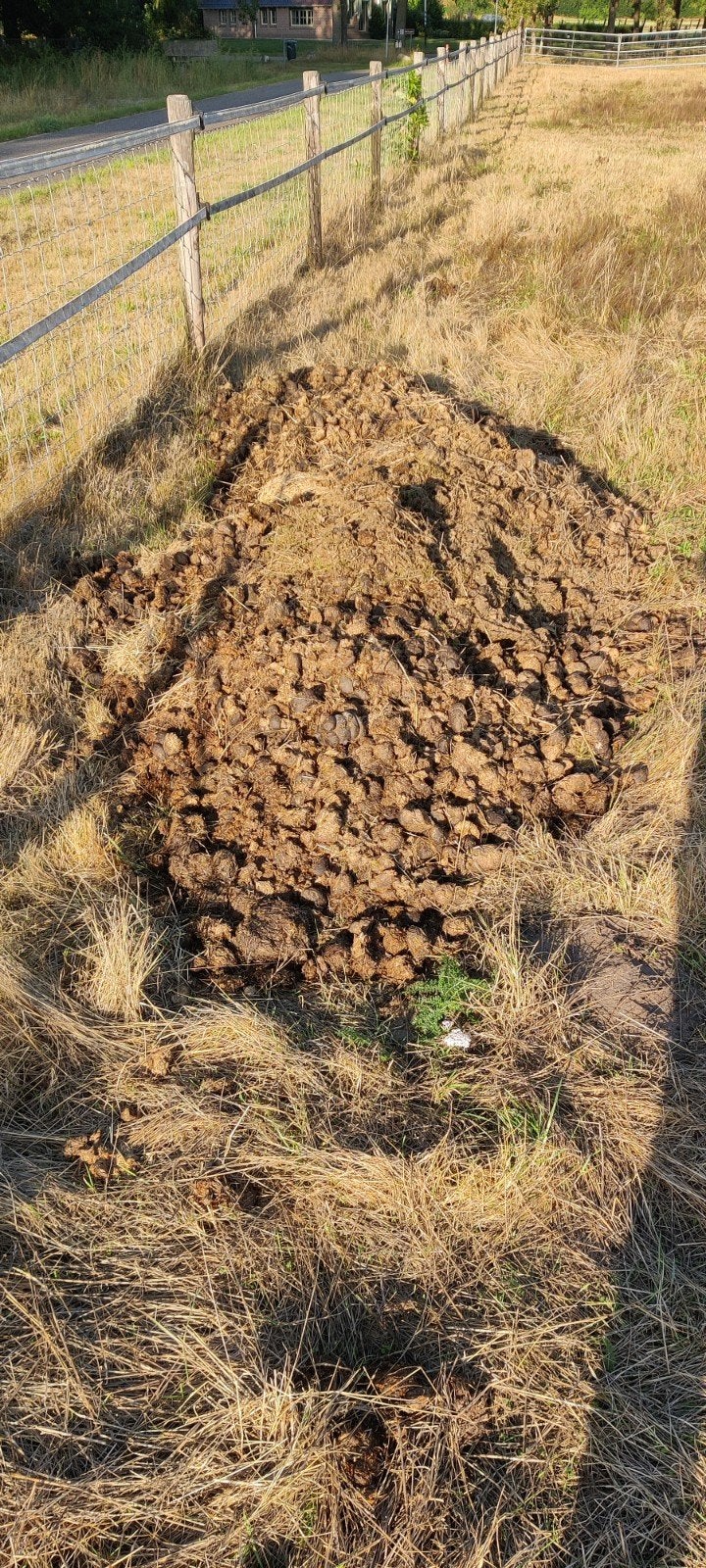 Gratis paardenmest voor compost, Tuin en Terras, Aarde en Mest, Ophalen, Compost