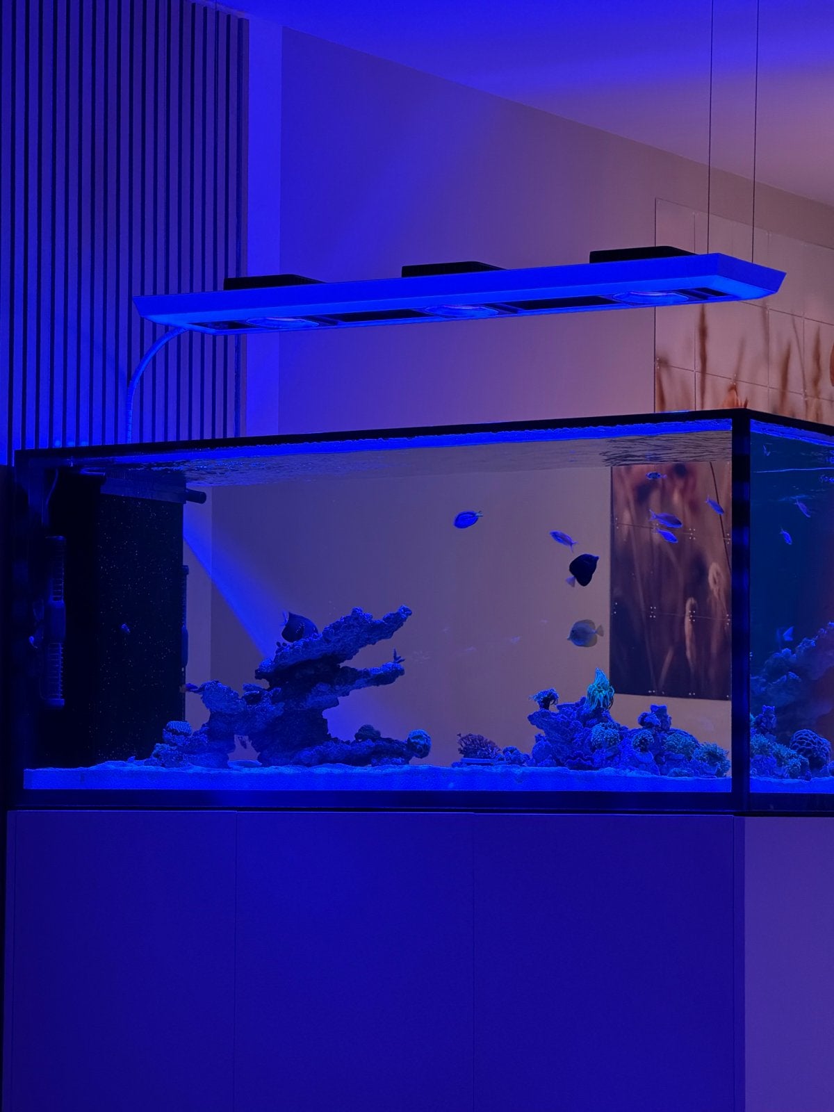 3 keer Red Sea Reef Led 170 G2 met pendant, Dieren en Toebehoren, Ophalen of Verzenden, Zo goed als nieuw, Leeg aquarium
