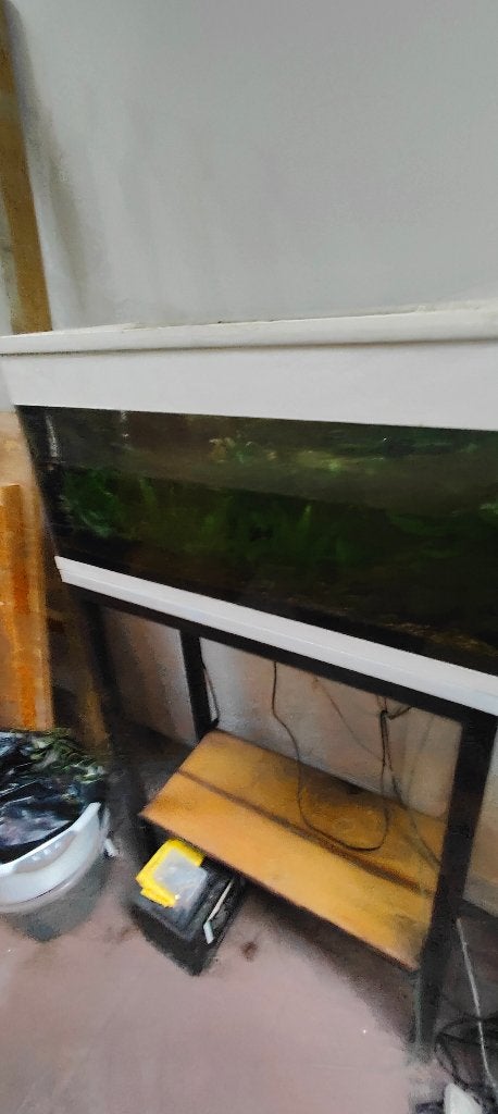 Verschillende aquaria, Ophalen, Gebruikt, Leeg aquarium