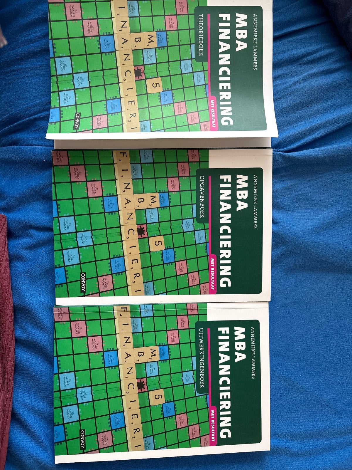 MBA Financiering: Theorie, Opgaven & Uitwerkingenboek, Boeken, Ophalen of Verzenden, Gamma, Zo goed als nieuw, HBO