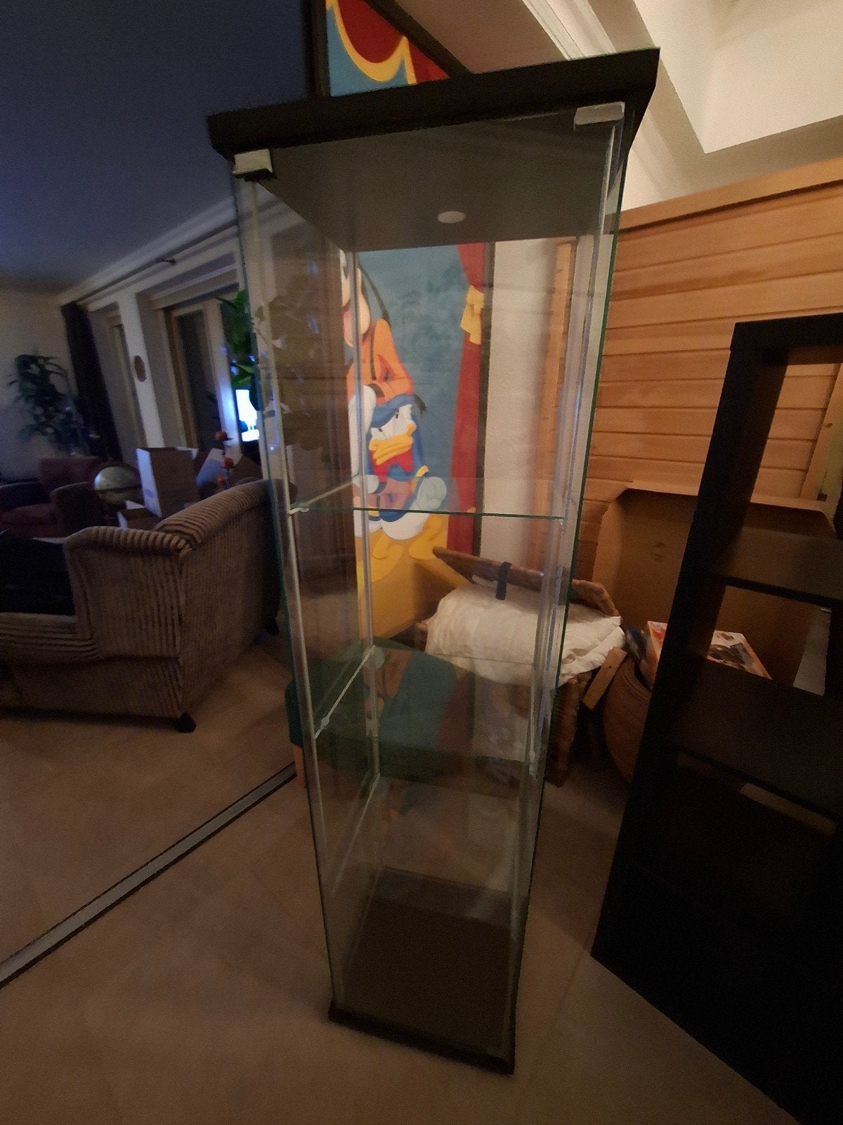 IKEA DETOLF Vitrinekast Zwartbruin Glas, Ophalen