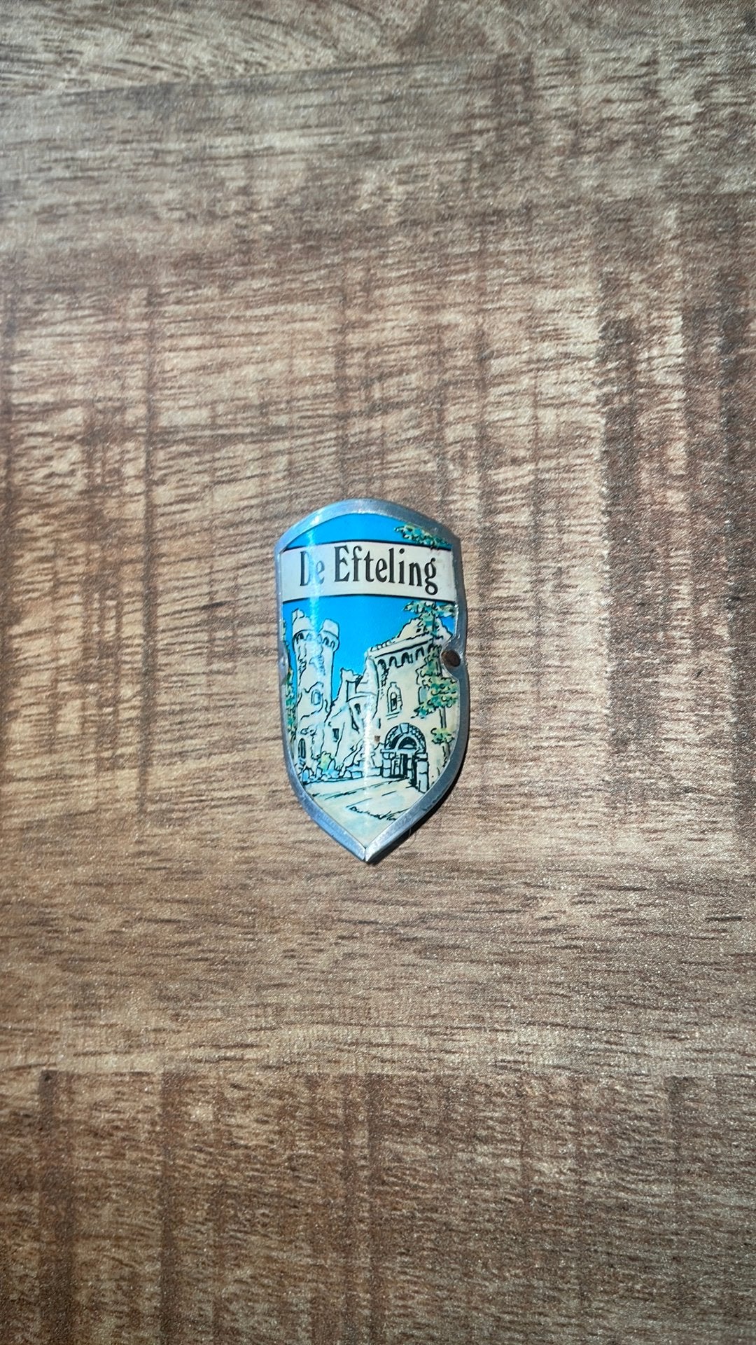 Efteling schildje / embleem spookslot, Ophalen of Verzenden, Zo goed als nieuw