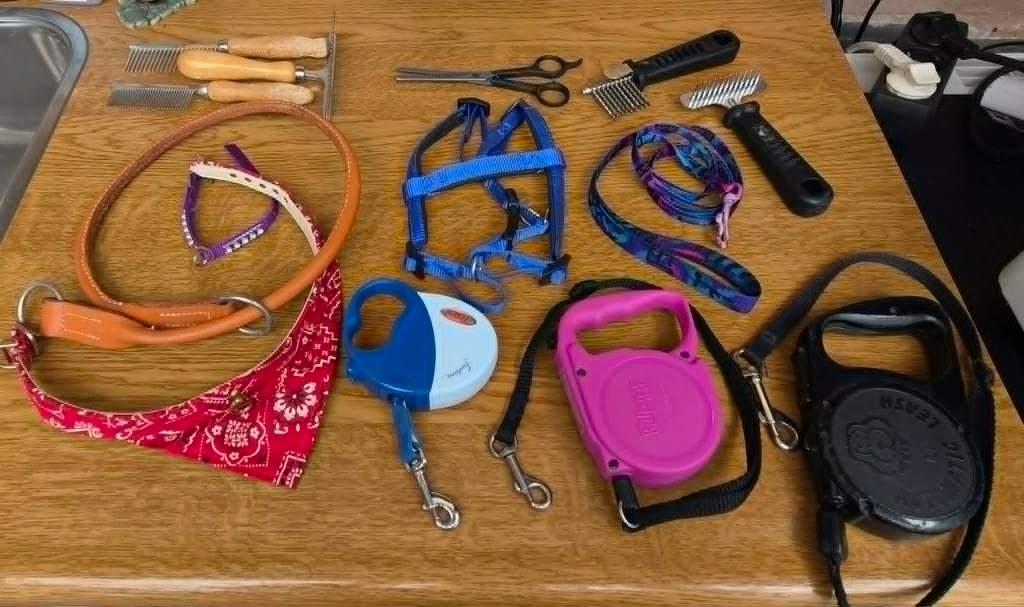 Honden halsband , riem , tuigje , kammen , schaar ...., Ophalen of Verzenden, Zo goed als nieuw