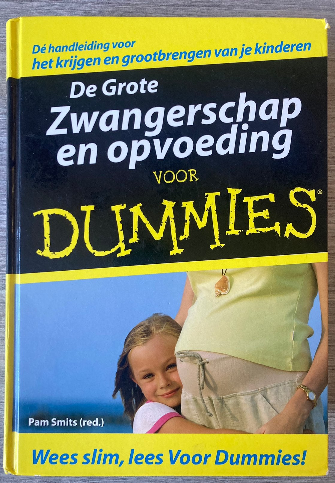 De Grote Zwangerschap en opvoeding voor Dummies - P. Smits, Ophalen of Verzenden, Gelezen, Zwangerschap en Bevalling