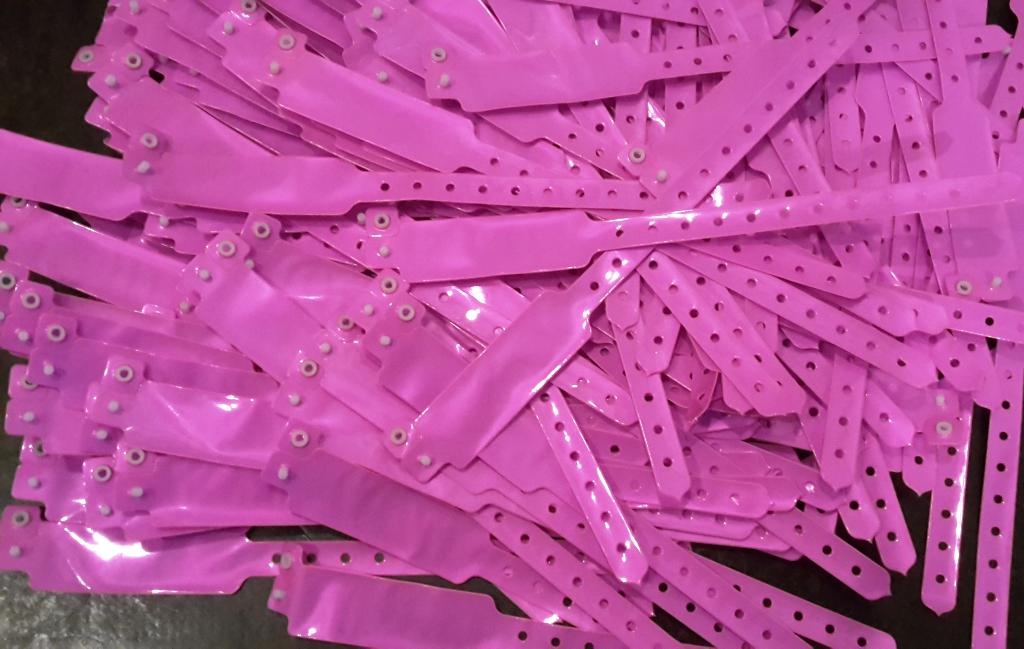 Polsbandjes Neon Roze voor Event / Feest [Nieuw], Hobby en Vrije tijd, Feestartikelen, Ophalen of Verzenden, Nieuw, Overige typen