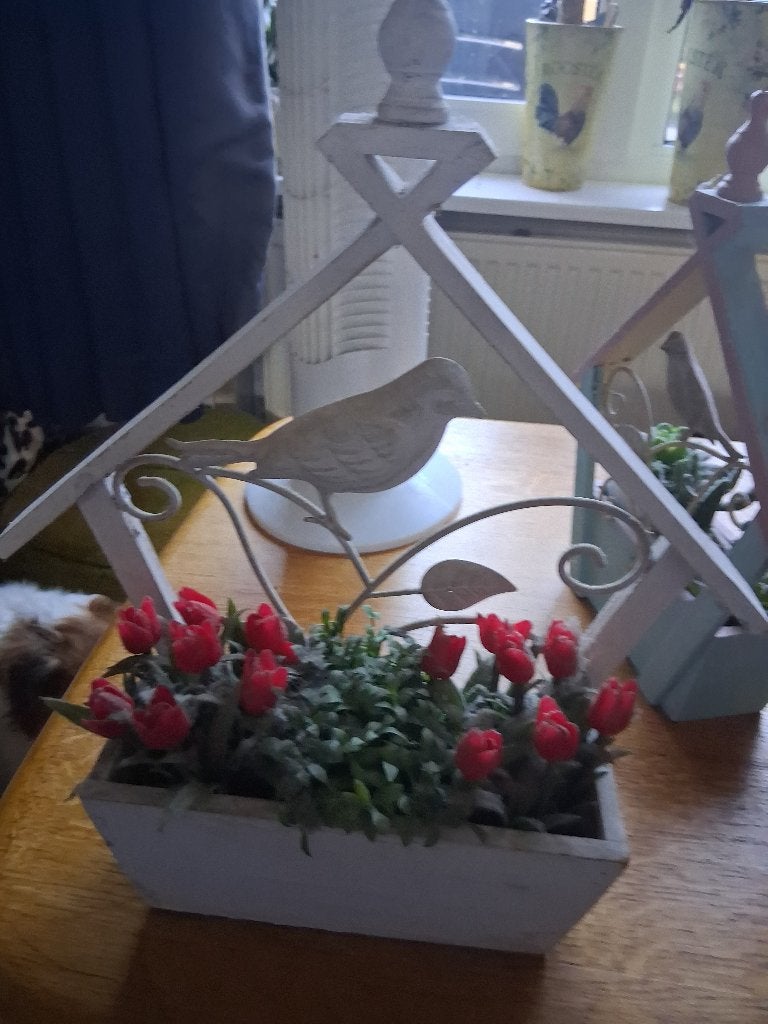 plantenbakje hout metaal, Ophalen, Overige materialen, Gebruikt, Rechthoekig