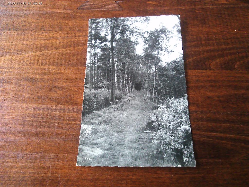 X33 - Eext - Bospad - Mooi/Oud, Ophalen of Verzenden, 1960 tot 1980, Drenthe