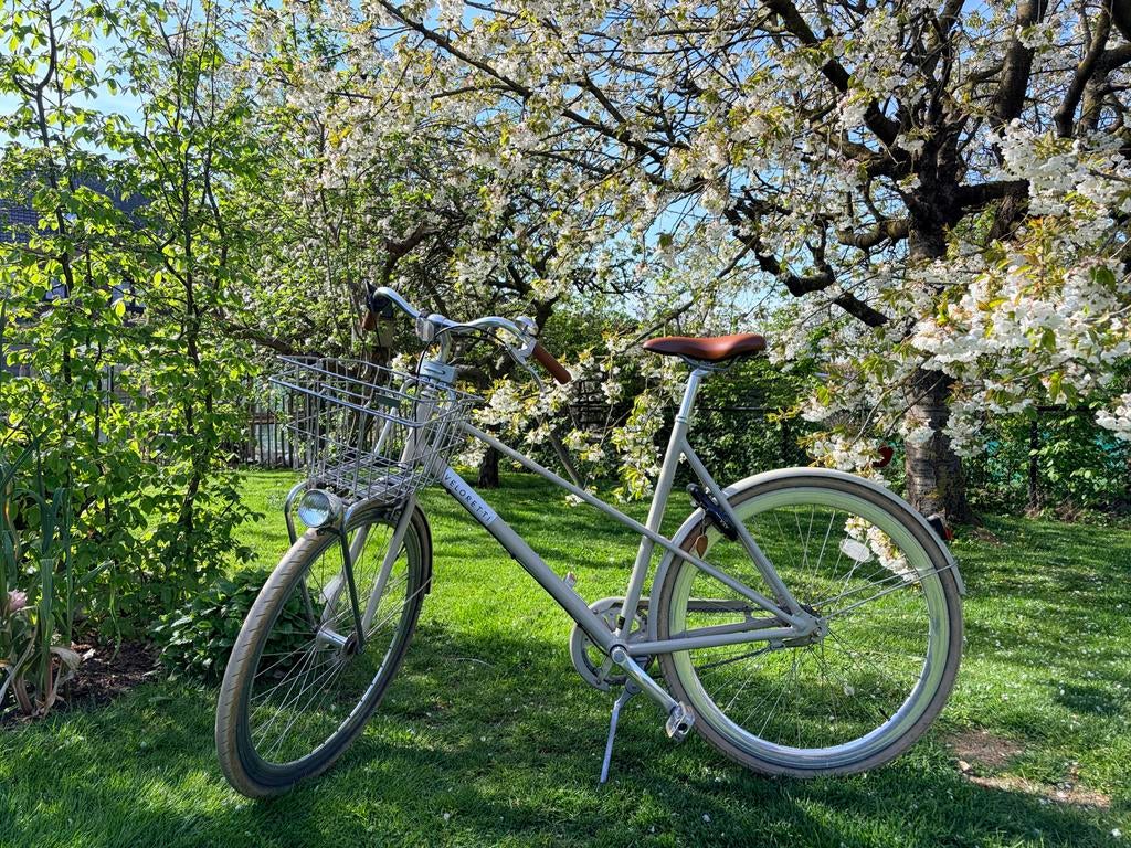 Veloretti Caféracer damesfiets, Fietsen en Brommers, Terugtraprem, Gebruikt, Versnellingen, 56 cm of meer