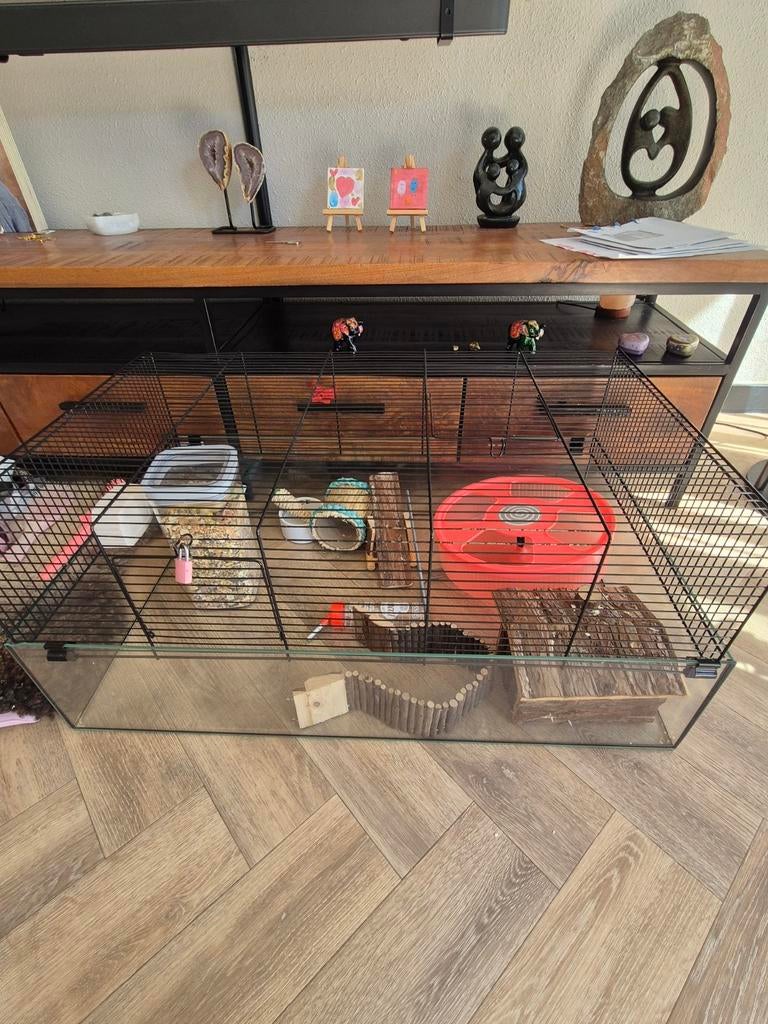 Mooie kooi te koop, Kooi, Minder dan 75 cm, Zo goed als nieuw, Ophalen